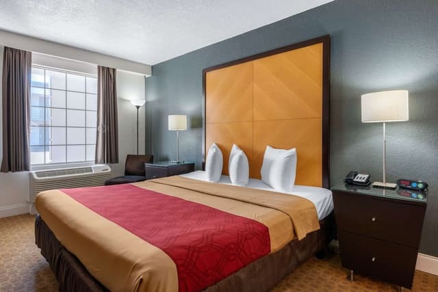 1 King Bed, No Smoking
