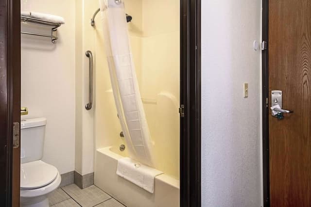 Standard Room, 1 King Bed with Sofa bed, Non Smoking