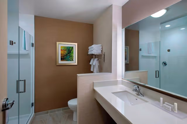 Suite, 1 King Bed with Sofa bed