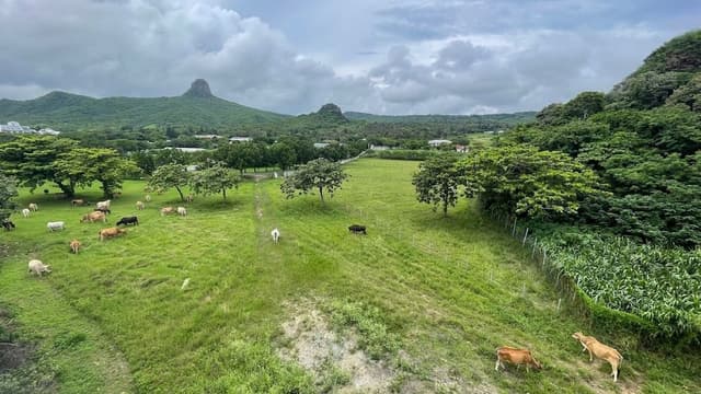 Double Room, Mountain View