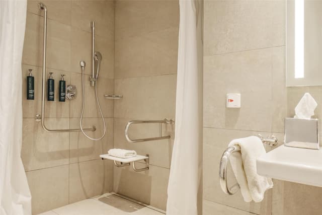 KING ACCESSIBLE ROOM