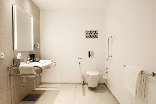 KING ACCESSIBLE ROOM