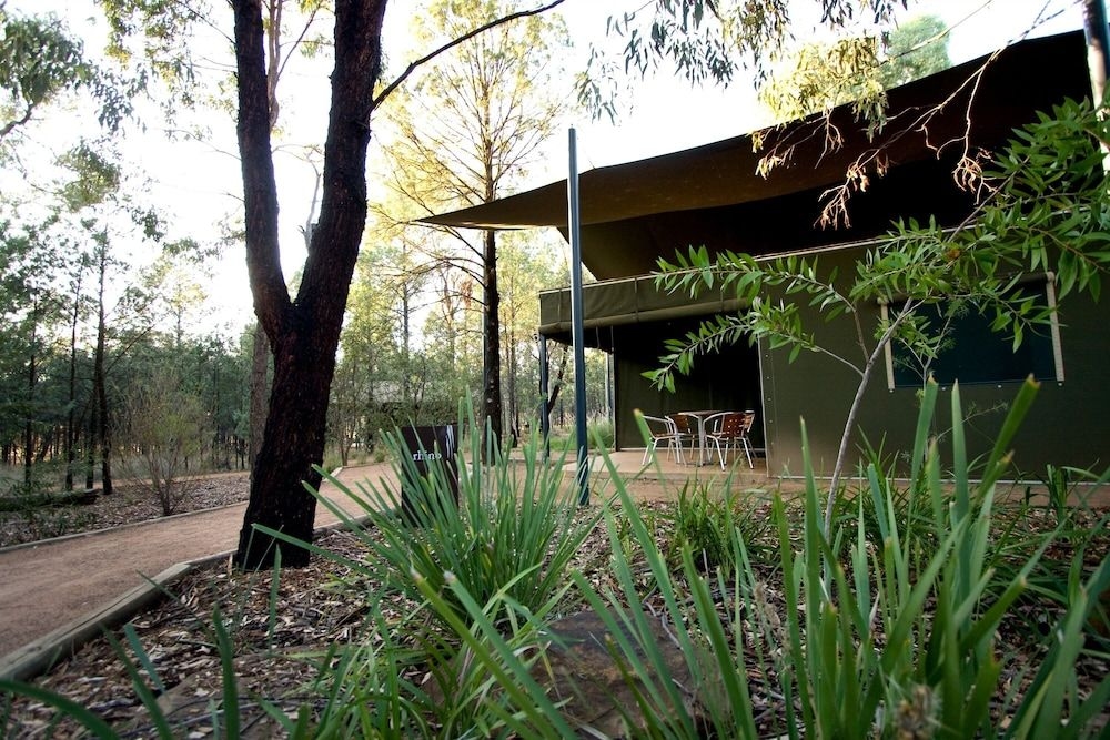Zoofari Lodge1