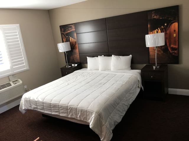 Room, 1 Queen Bed, Non Smoking