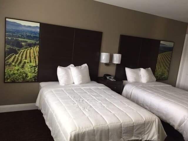 Efficiency, 2 Double Beds, Non-Smoking