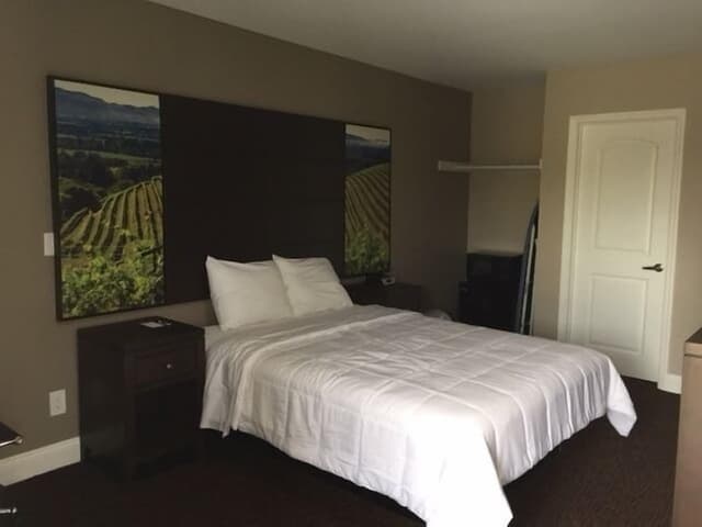 Room, 1 Queen Bed, Non Smoking