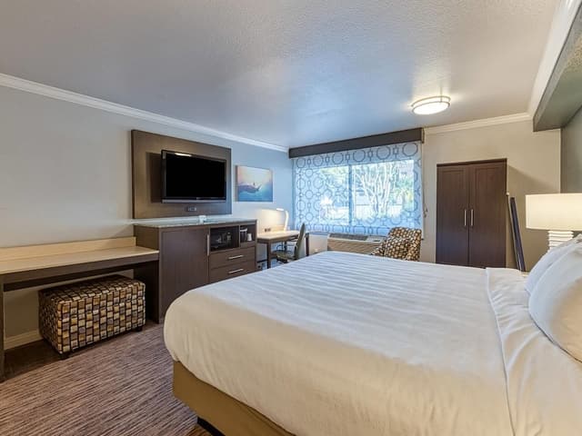 Standard Room, 1 King Bed, Accessible, Non Smoking (Roll-In Shower)