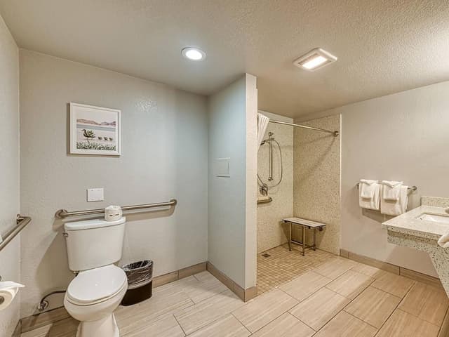 Standard Room, 1 King Bed, Accessible, Non Smoking (Roll-In Shower)