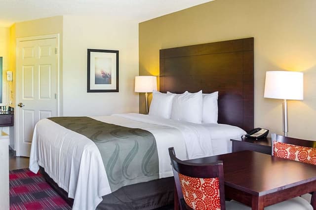Standard Room, 1 King Bed, Non Smoking