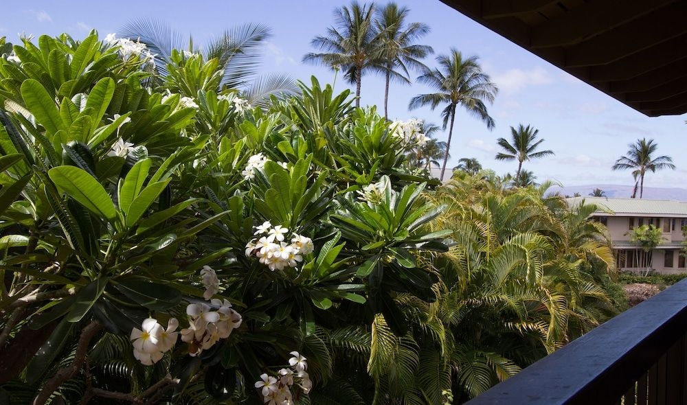 Wailea Ekahi Village A Destination Residence1