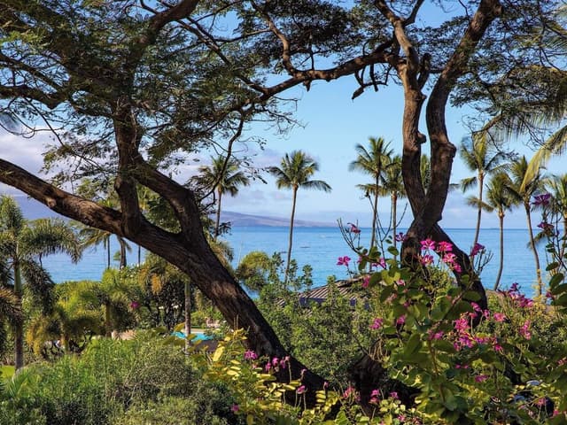 Condo, 2 Bedrooms, Ocean View (22F)