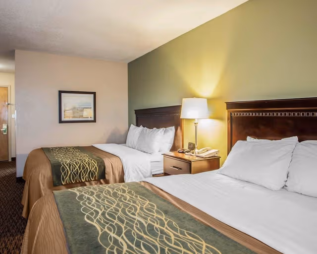 Room, 1 Queen Bed