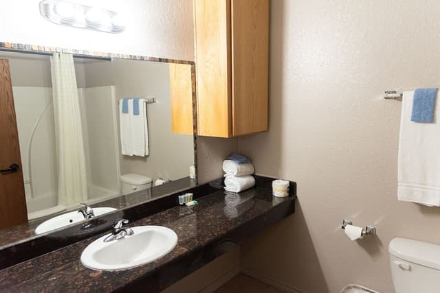Deluxe Suite, 1 King Bed (Parlor Room)