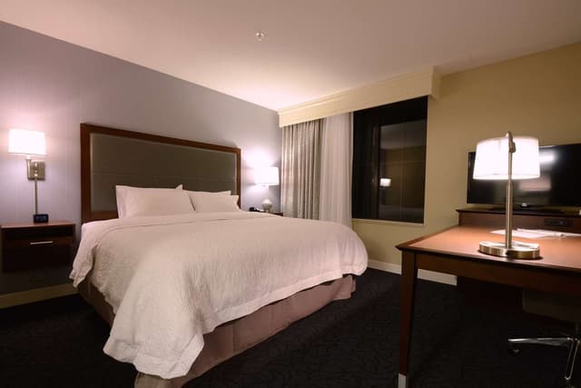 1 KING MICROWV/FRIDGE/WET BAR STUDIO SUITE NS