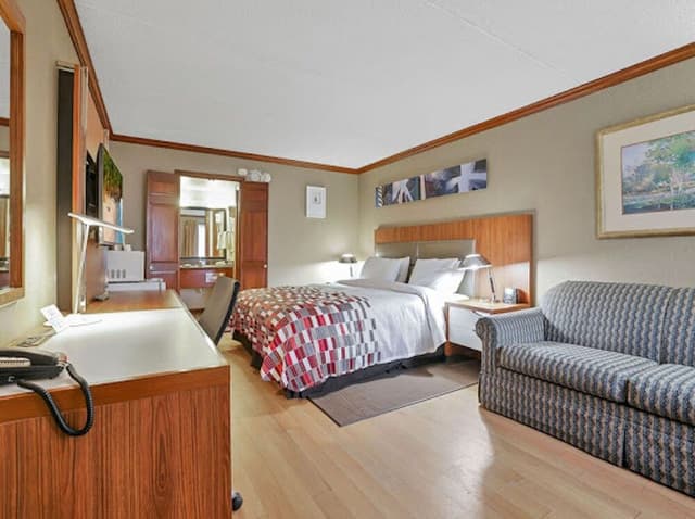 Superior Room, 1 King Bed, Non Smoking