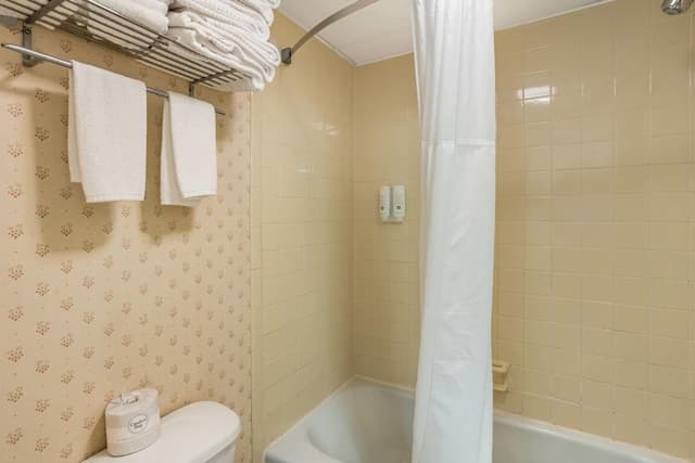 Standard Room, Multiple Beds, Non Smoking (2nd Floor)