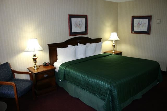 Standard Room, 1 King Bed, Non Smoking, Balcony (2nd Floor)