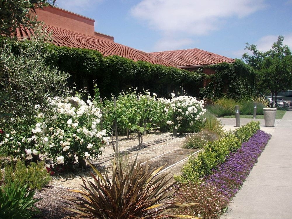 DoubleTree by Hilton Sonoma Wine Country4