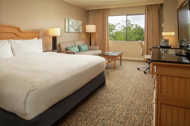 1 KING BED
