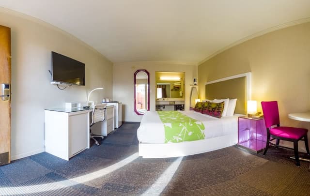 Room, 1 King Bed, Non Smoking