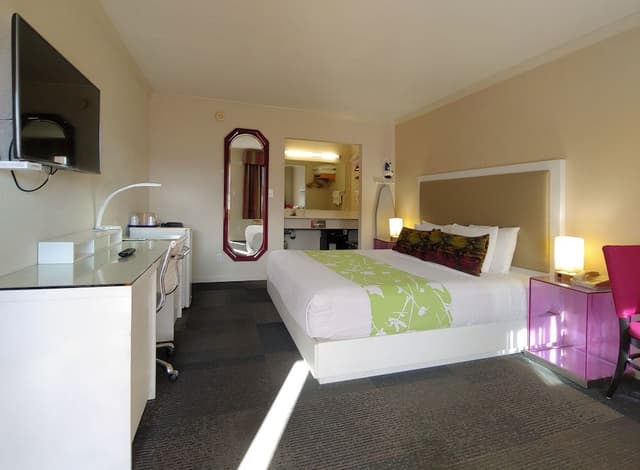 Room, 1 King Bed, Non Smoking