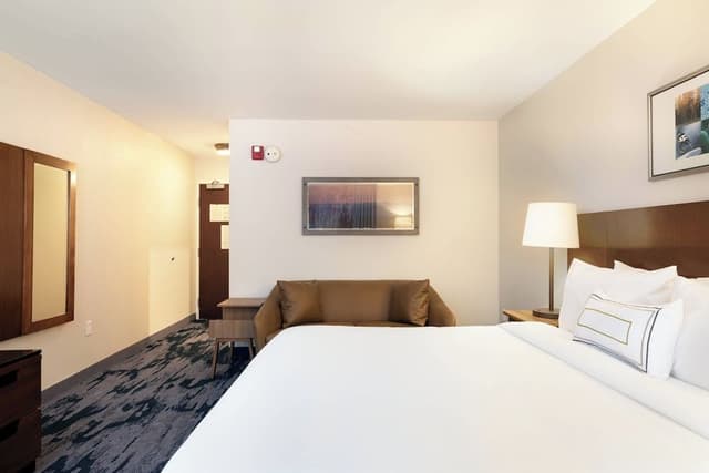 Room, 1 King Bed with Sofa bed