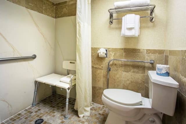 Room, 1 King Bed, Accessible, Non Smoking