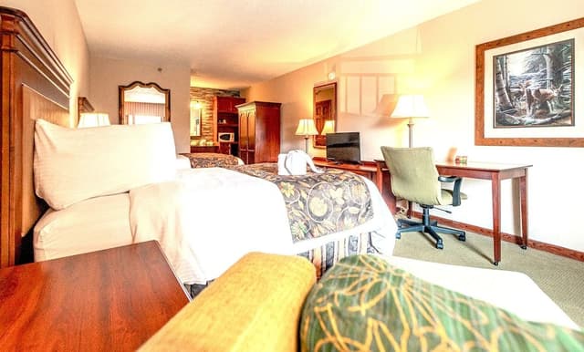 Superior Double Room, 2 Queen Beds, Mountain View (No Pets)