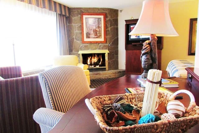 Junior Suite (No Pets)