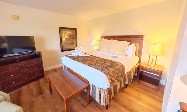 Junior Suite (No Pets)