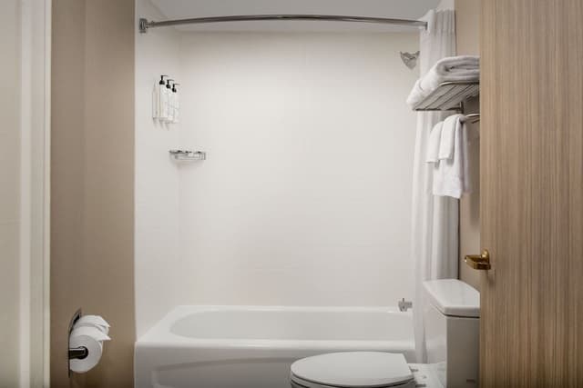 Suite, 1 King Bed with Sofa bed