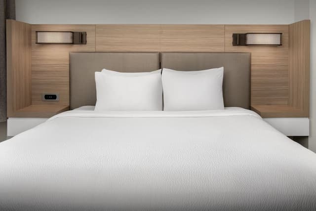 Suite, 1 King Bed with Sofa bed