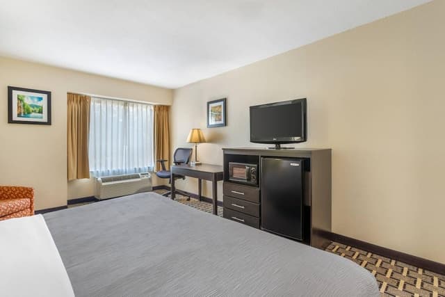 Room, 1 King Bed, Non Smoking