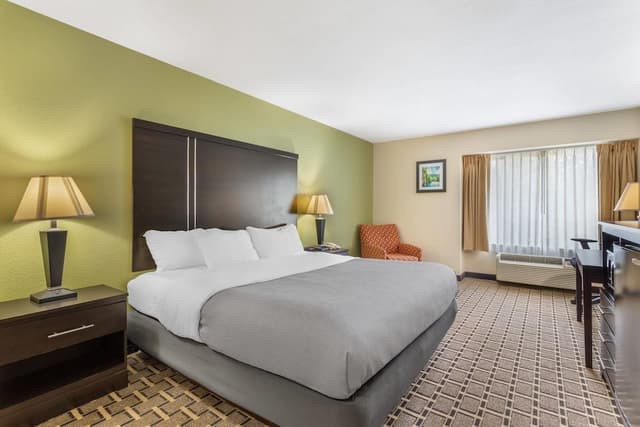 Room, 1 King Bed, Non Smoking
