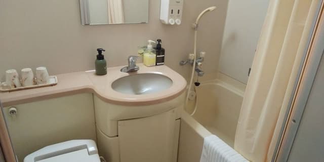 Deluxe Single Room, Non Smoking
