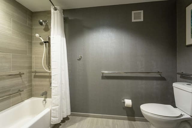 1 KING BED MOBILITY ACCESSIBLE WITH TUB