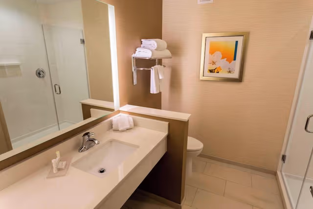 Suite, 1 King Bed with Sofa bed