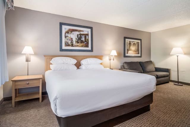 Executive Room, 1 King Bed, Accessible