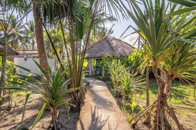 Deluxe Double Room, Garden View