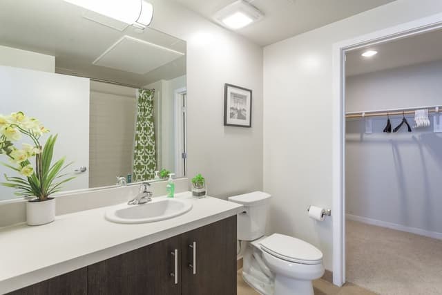 Luxury Apartment, 2 Bedrooms, Non Smoking, City View (52 with air mattress on request)