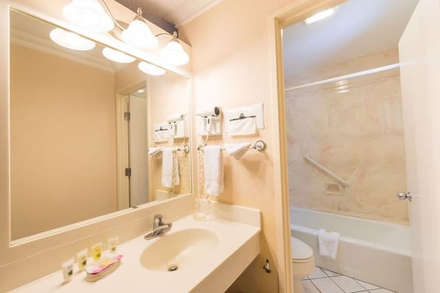 Standard Room, 1 King Bed, Mountain View