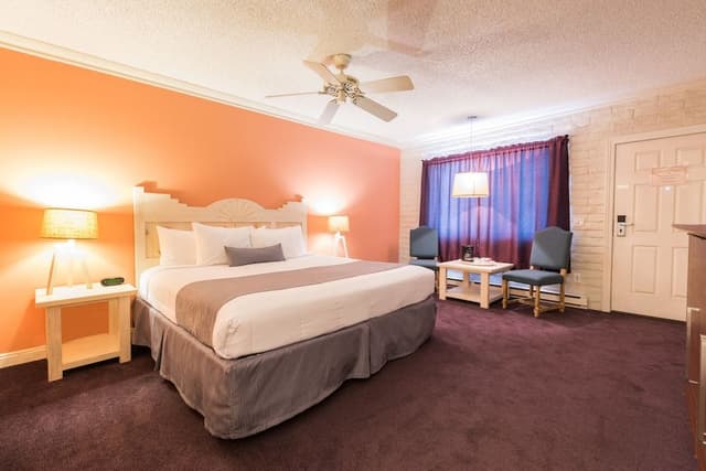 Standard Room, 1 King Bed, Mountain View