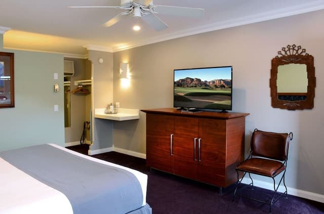 Standard Room, 1 King Bed, Mountain View