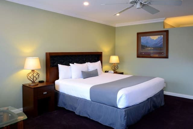Standard Room, 1 King Bed, Mountain View