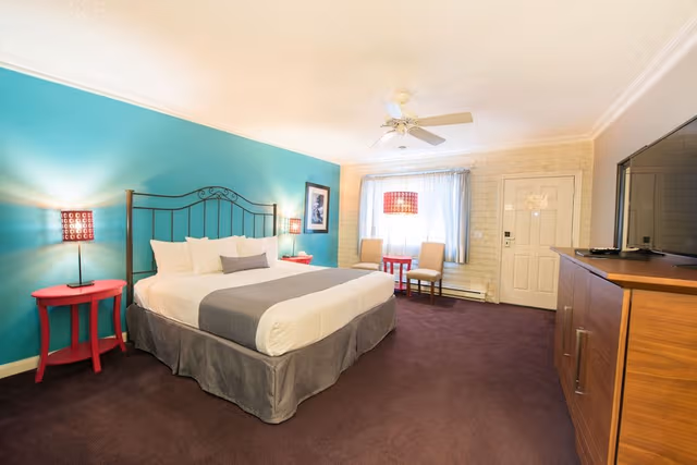 Standard Room, 1 King Bed, Mountain View