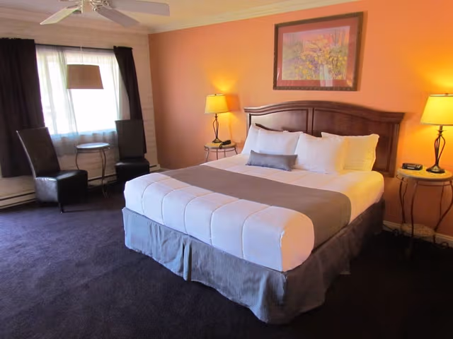 Standard Room, 1 King Bed, Mountain View