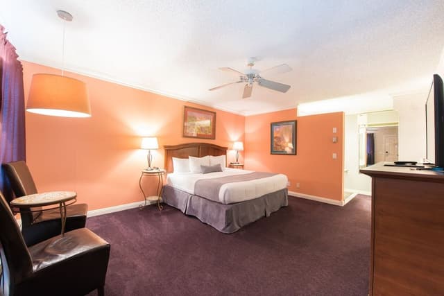 Standard Room, 1 King Bed, Mountain View