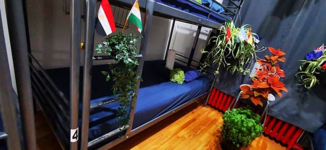 Single Bed in a 4 Bed Dorm