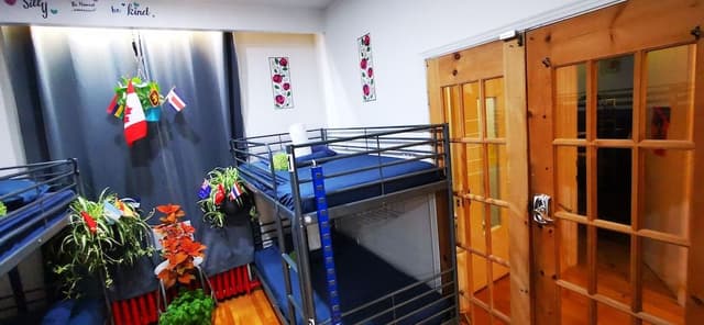 Single Bed in a 4 Bed Dorm