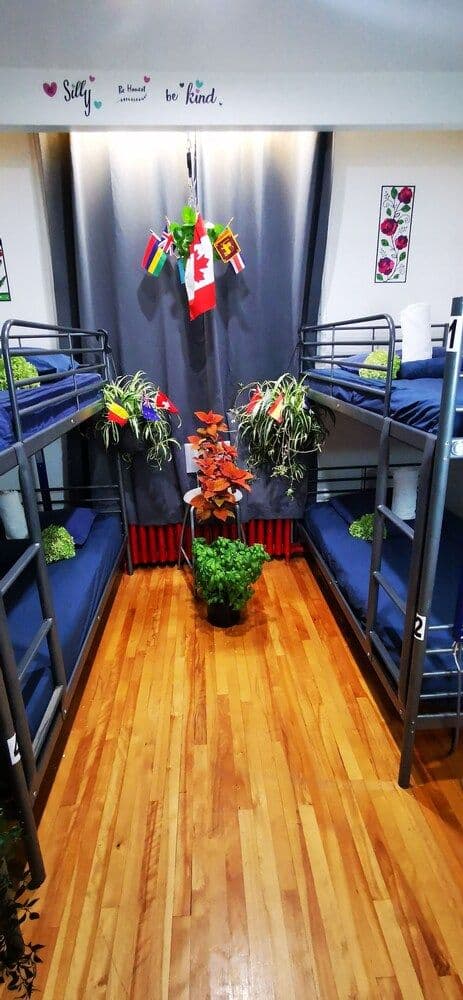 Single Bed in a 4 Bed Dorm